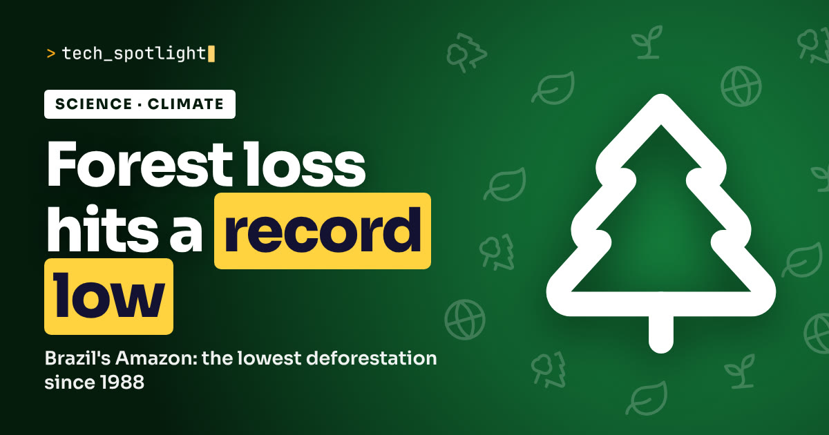 Poster in Amazon rainforest colours with a amazon rainforest symbol and the words 'Forest loss hits a record low'