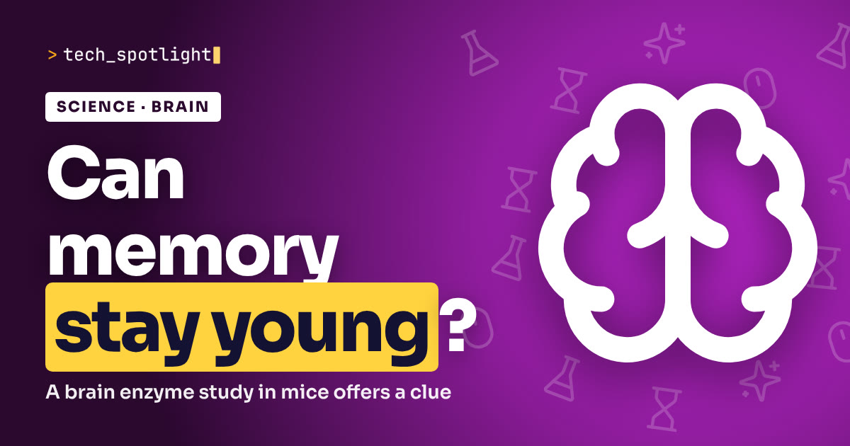 TechSpotlight poster in Brain research colours with a brain research symbol and the words 'Can memory stay young?'