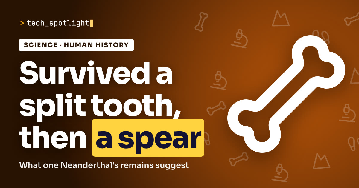Poster in Human history colours with a human history symbol and the words 'Survived a split tooth, then a spear'