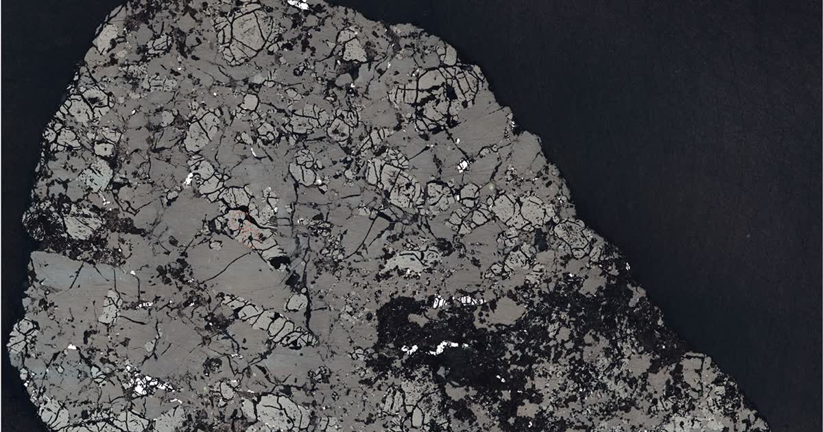 Microscope view of a thin slice of Martian meteorite Teghaza 001, with cracked grey mineral grains